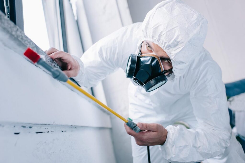Affordable Pest Control Sydney: Effective Solutions at Competitive Prices