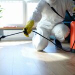 pest control Inner West